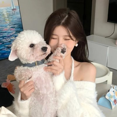 皿三昧